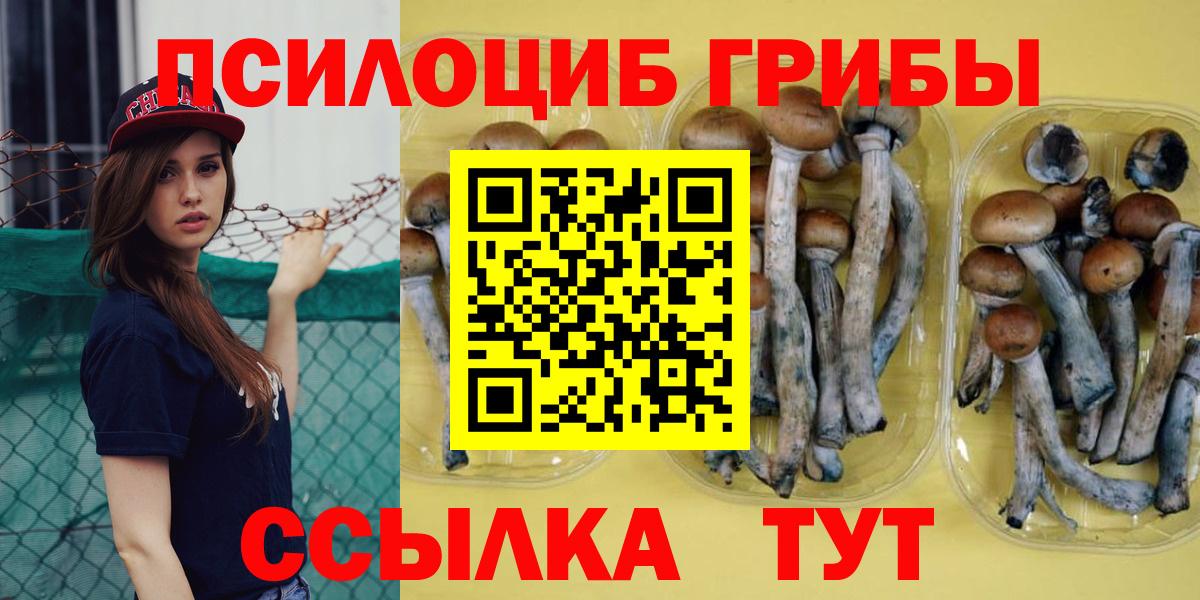 Псилоцибиновые грибы GOLDEN TEACHER Касимов