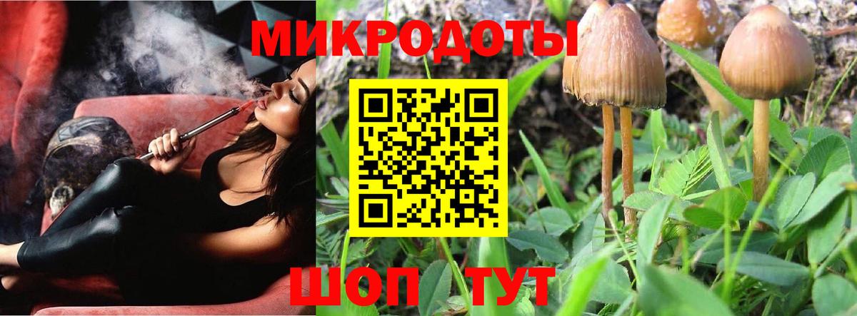 Касимов  Псилоцибиновые грибы GOLDEN TEACHER  Вход с VPN  Псилоцибиновые грибы GOLDEN TEACHER 
